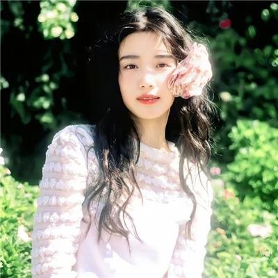 燕子盗